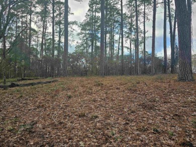 The Essence of Nature, Close to Toledo Bend Lake! This beautiful - Lake Acreage Sale Pending in Hemphill, Texas