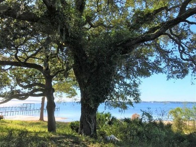 Pristine property located on beautiful St. Andrew's Bay in - photo 5