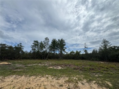 Lake Kerr Lot For Sale in Salt Springs Florida
