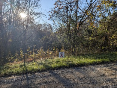 Norris Lake Acreage For Sale in Tazewell Tennessee