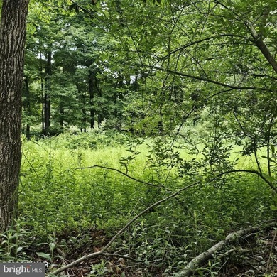 Lake-view lot with a valid perc test already completed and ready - photo 11