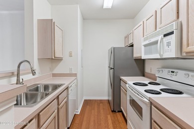Barnes Plantation is a premier gated condominium community - photo 17