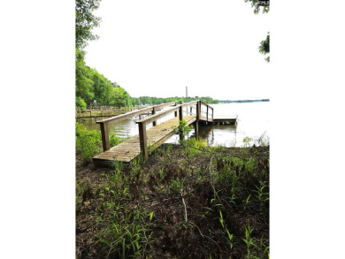 Wooded waterfront lot with dock and septic permite build your - Lake Lot For Sale in Winnsboro, South Carolina