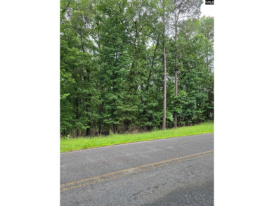 REDUCED! Wooded waterfront lot with dock and septic permit. - photo 4