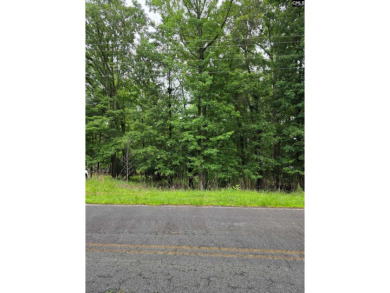 REDUCED! Wooded waterfront lot with dock and septic permit. - photo 5