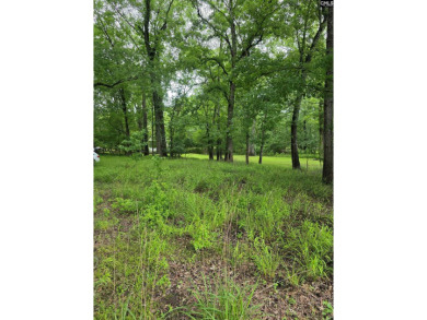 REDUCED! Wooded waterfront lot with dock and septic permit. - photo 6