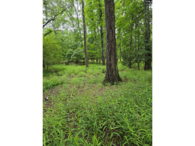 REDUCED! Wooded waterfront lot with dock and septic permit. - photo 7