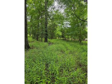 REDUCED! Wooded waterfront lot with dock and septic permit. - photo 8