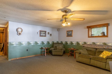 Welcome to your dream lakefront retreat! Serene lakeside living - photo 41