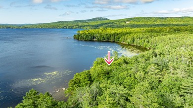 Welcome to your dream lakefront retreat! Serene lakeside living - photo 51