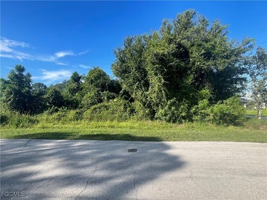 Lehigh Acres Area Lot For Sale in Lehigh Acres Florida