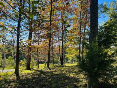 This Stunning Building Lot is Ready for You! - photo 7