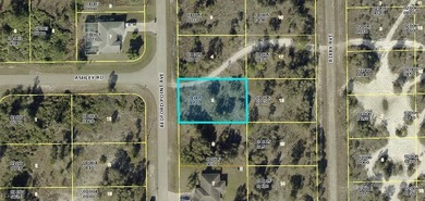 Lehigh Acres Area Lot For Sale in Lehigh Acres Florida