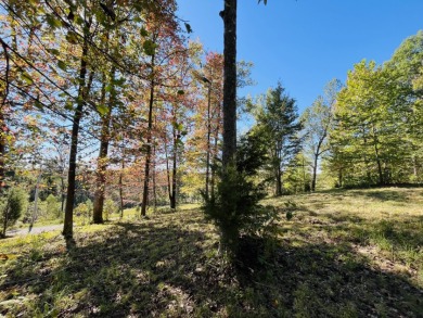 This Stunning Building Lot is Ready for You! - photo 6