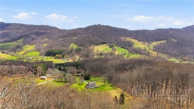 2.73-Acre Mountain View Lot in Gated Elk Creek Mountain - photo 11