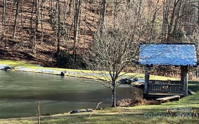 The beautiful Wolf Laurel gated community affords all the - photo 6