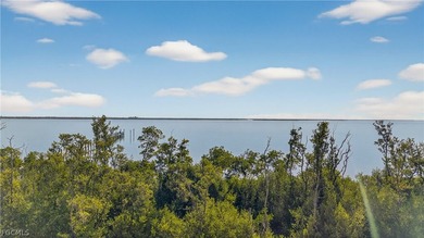 This oversized lot 440 in the Collier Preserve section of Useppa - photo 9