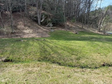 12 acres of private wooded land conveniently located right in - photo 5