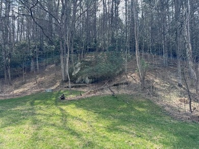 12 acres of private wooded land conveniently located right in - photo 7