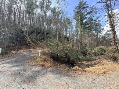 12 acres of private wooded land conveniently located right in - photo 8