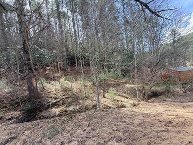 12 acres of private wooded land conveniently located right in - photo 9