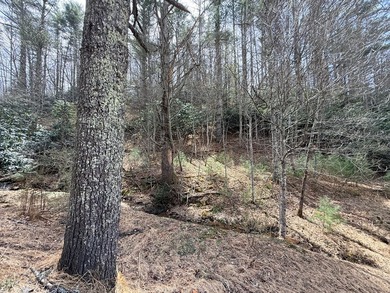 12 acres of private wooded land conveniently located right in - photo 10