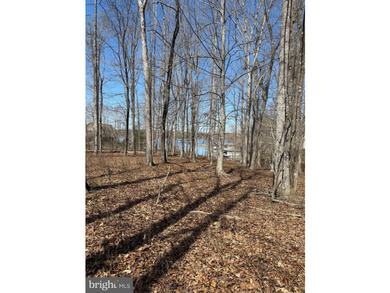 Premium lake access lot in Noah's Landing Subdivision, located - photo 1