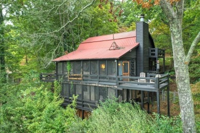 Lake Home For Sale in Blue Ridge, Georgia