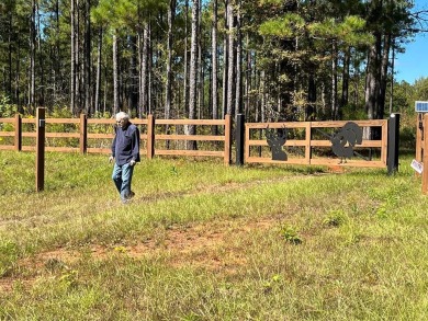 Lake Acreage Sale Pending in Hamilton, Georgia