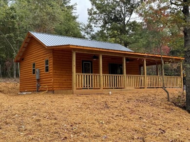 Lake Hiwassee Home For Sale in Murphy North Carolina