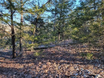 Surprises await on this piece of property. The true specialness - Lake Acreage For Sale in Eureka Springs, Arkansas