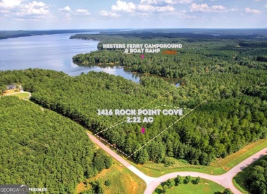 Lake Acreage For Sale in Tignall, Georgia