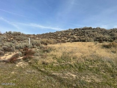 Elizabeth Lake Lot For Sale in Lake Elizabeth California