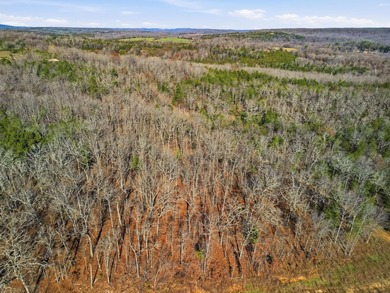 Stunning 3+ Acres Joining the Corps of Engineers at the North - photo 11