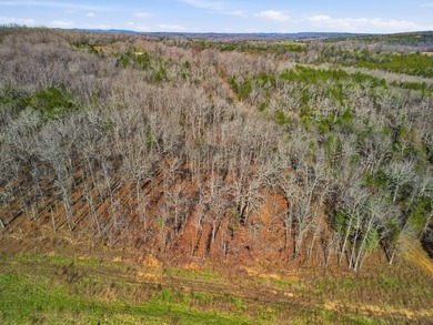 Stunning 3+ Acres Joining the Corps of Engineers at the North - photo 12