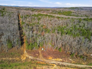 Stunning 3+ Acres Joining the Corps of Engineers at the North - photo 13