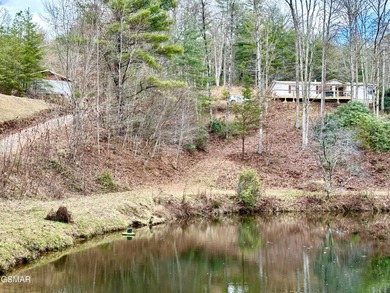 (private lake, pond, creek) Home For Sale in Sevierville Tennessee