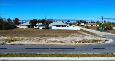 Corner lot on Andalusia Blvd that is perfect for a single-family - photo 2