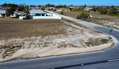 Corner lot on Andalusia Blvd that is perfect for a single-family - photo 4
