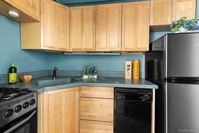 Introducing 225 Adams Street, Unit 7E - a sun-filled, oversized - photo 4