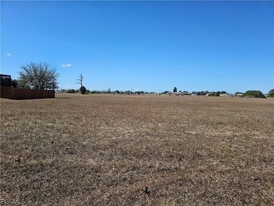 Great Triple oversized lot for the - photo 1