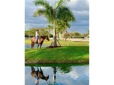 Equestrian Facility, ready for your horses, or set up a working - photo 3