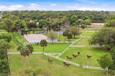 Equestrian Facility, ready for your horses, or set up a working - photo 7