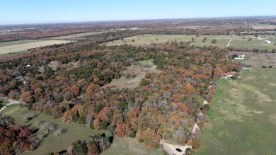 (private lake, pond, creek) Acreage For Sale in Kemp Texas