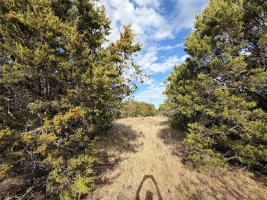 Lovely and secluded two acre lot in the beautiful Hills Above - photo 11
