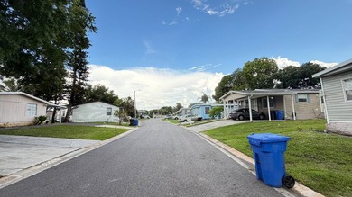 8018 Plaza Dr., Tampa, FL 33615 | Carefree Village Located in - photo 22