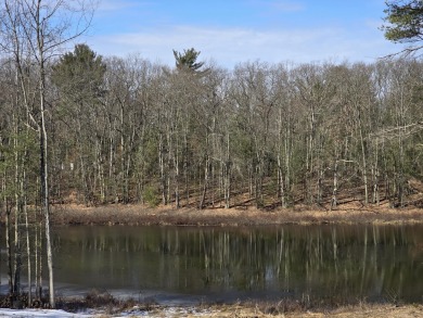 (private lake, pond, creek) Acreage For Sale in Irons Michigan
