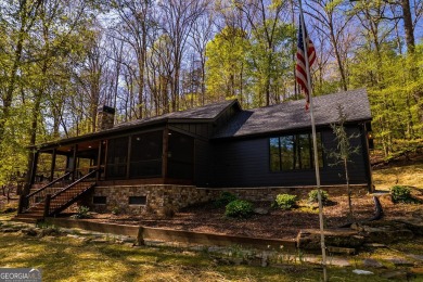 Lake Home For Sale in Ellijay, Georgia