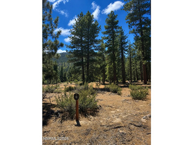 Spanning more than half an acre, this gently sloping homesite