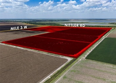 Exceptional 170+/- acre farm in Hidalgo County, with an - photo 1
